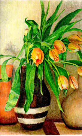 Tulips by Barbara Jones