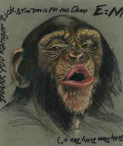 Agys Chimpanzee by Agy
