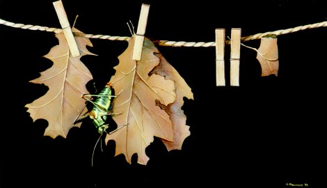 "Les feuilles mortes - Dead leaves" (1977-1998)  by Arlette Steenmans