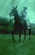 Riding High, 1991