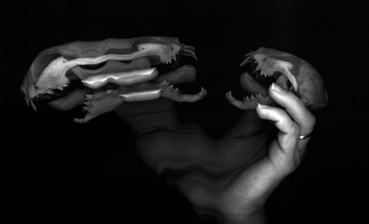 Vanitas 11